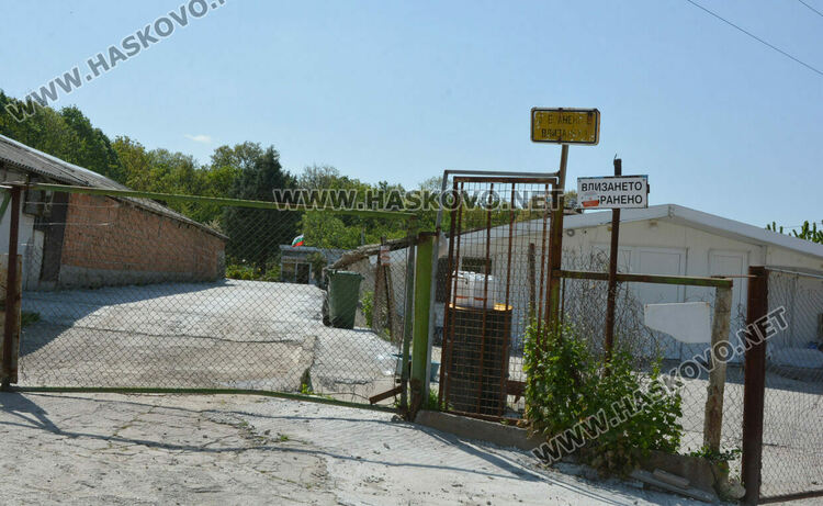 Изтеглят от пазара яйцата от кокошките, заразени с птичи грип край Хасково