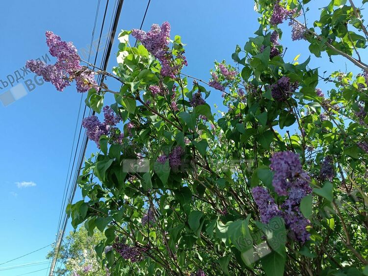 Слънчево и ветровито днес в Кърджали