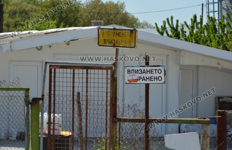 Изтеглят от пазара яйцата от кокошките, заразени с птичи грип край Хасково