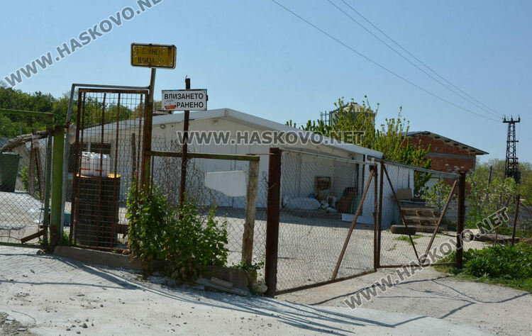 Изтеглят от пазара яйцата от кокошките, заразени с птичи грип край Хасково