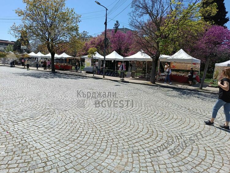  Променлива облачност с полусилен вятър днес в Кърджали
