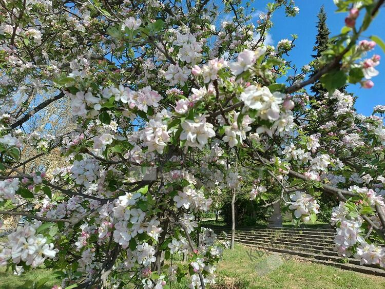  Променлива облачност над Кърджали днес,синоптиците предупреждават за дъжд с гръмотевици