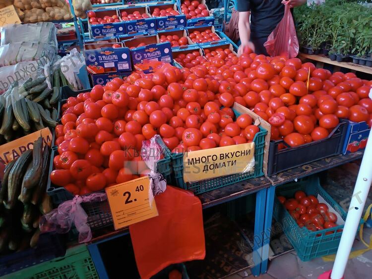 Цените на доматите на Пазара в Кърджали удариха тези в хипермаркетите,килото се предлага за 2,40 лв