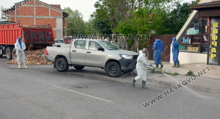 Камион изсипа умрели пилета от фермата с птичи грип в Хасково