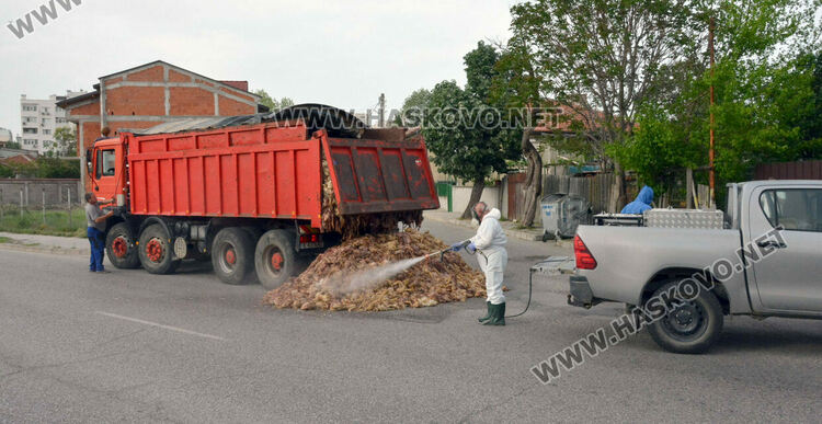 Камион изсипа умрели пилета от фермата с птичи грип в Хасково