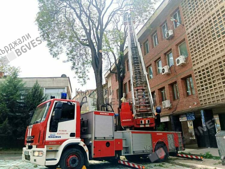 Отстраняват опасен чинар до читалище „Обединение 1913”в Кърджали, намесиха се пожарникари