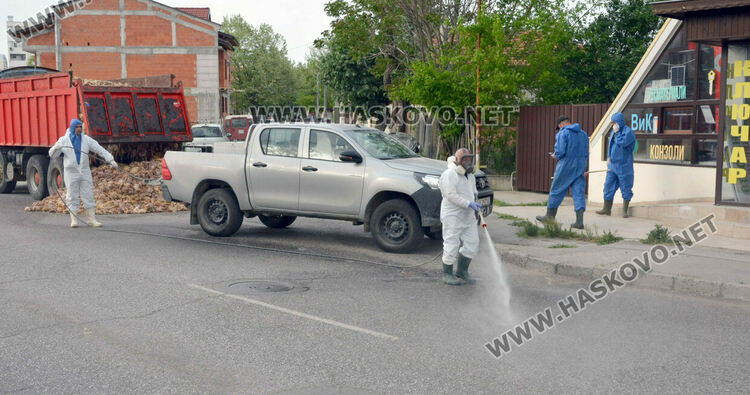 Камион изсипа умрели пилета от фермата с птичи грип в Хасково