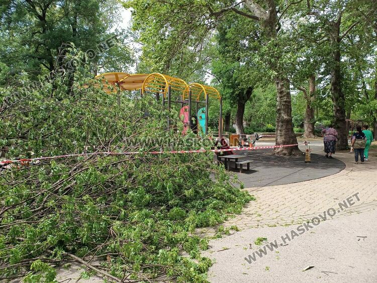 Огромен клон падна върху детска площадка в Градската градина 