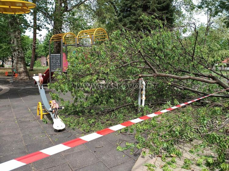 Огромен клон падна върху детска площадка в Градската градина 