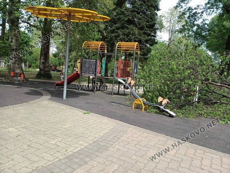 Огромен клон падна върху детска площадка в Градската градина 