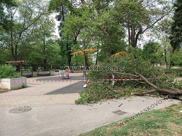 Огромен клон падна върху детска площадка в Градската градина 