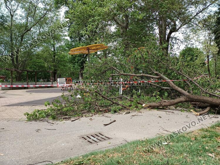 Огромен клон падна върху детска площадка в Градската градина 