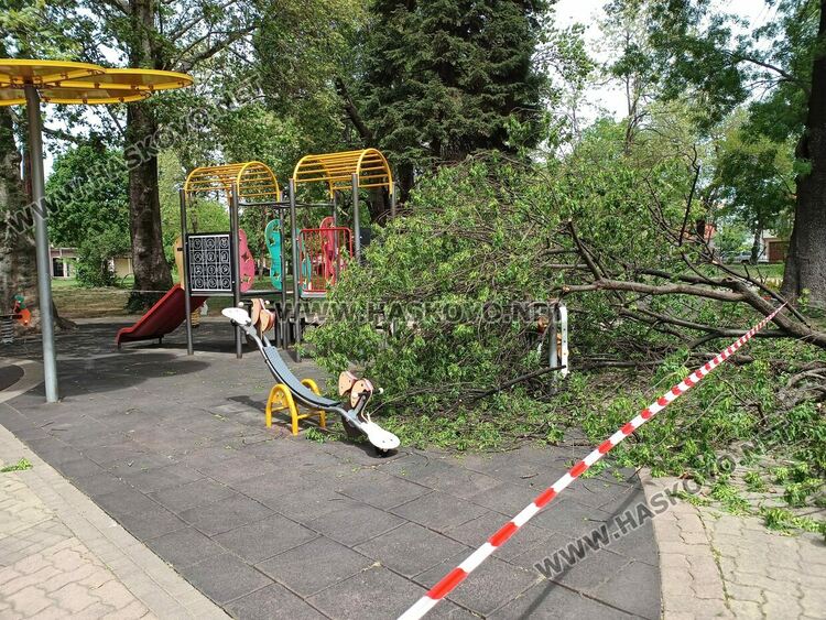 Огромен клон падна върху детска площадка в Градската градина 