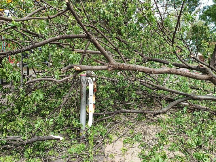 Огромен клон падна върху детска площадка в Градската градина 
