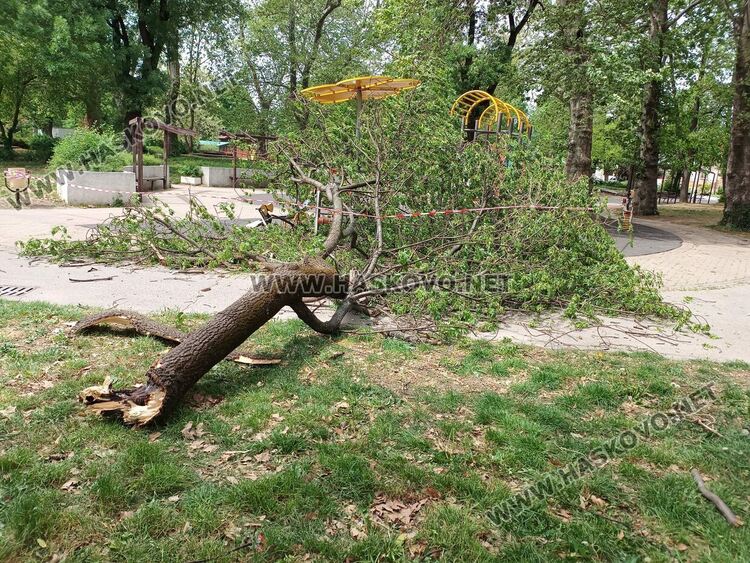 Огромен клон падна върху детска площадка в Градската градина 
