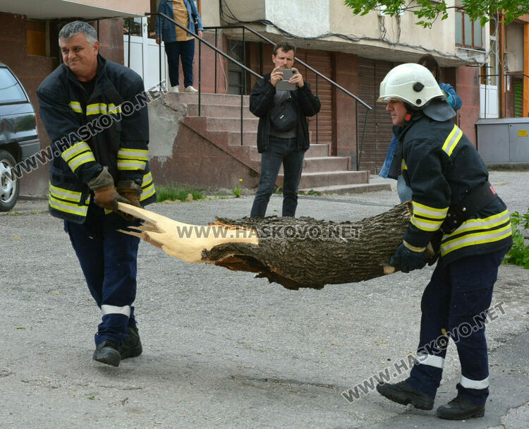  Вятърът стовари част от дърво върху къща