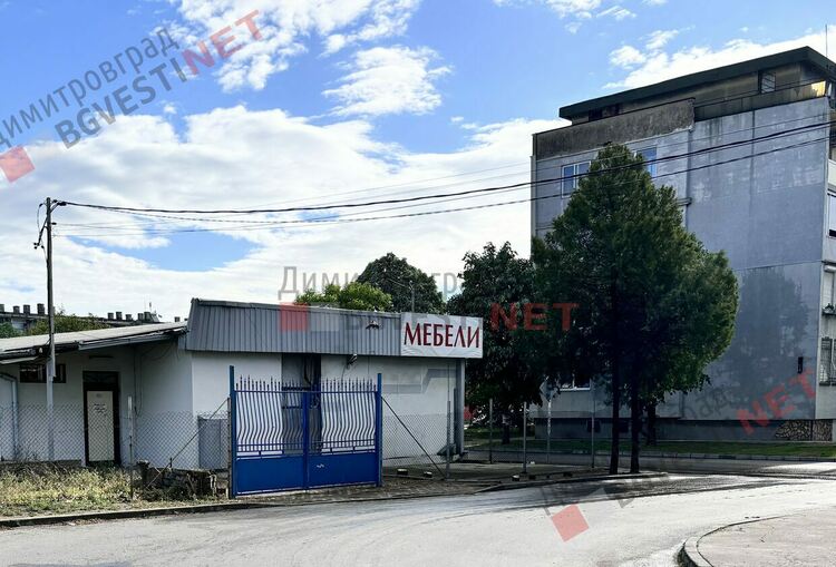 Без разрешение отсякоха 5 дървета в центъра на Димитровград, явно се канят и на други