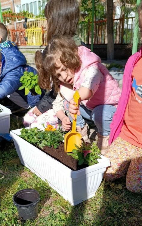 Ученици, деца и учители заедно засаждаха цветя в дворове на детски градини и училища