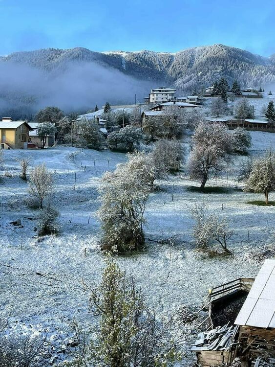 село Гела тази сутрин / снимка ФБ/