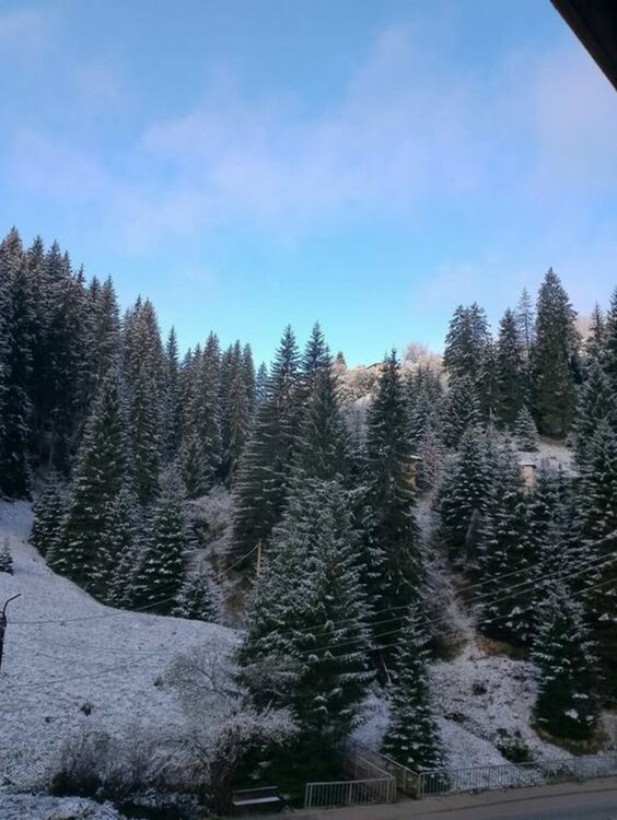 Край с.Стойките тази сутрин / снимка фб/