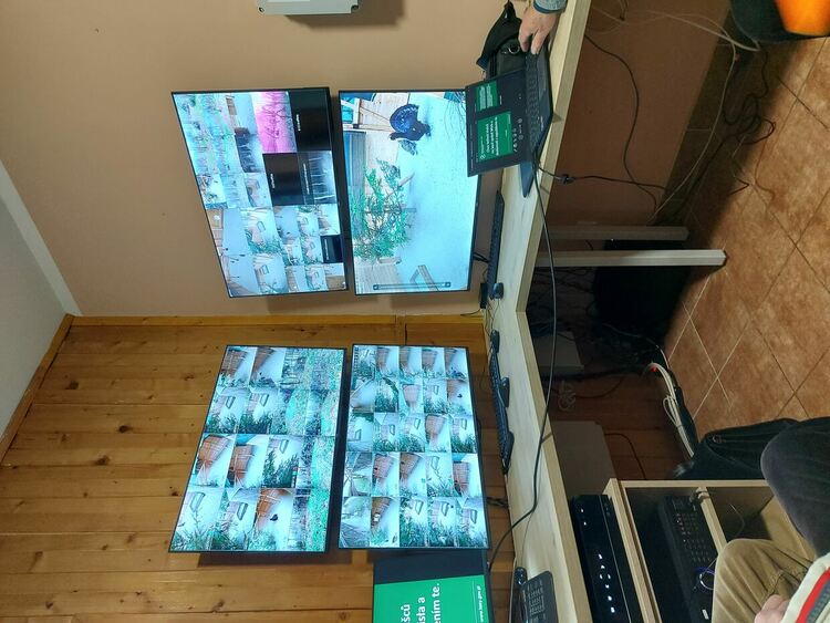 ЮЦДП възражда фермата за изкуствено развъждане на глухари в ДЛС "Извора"