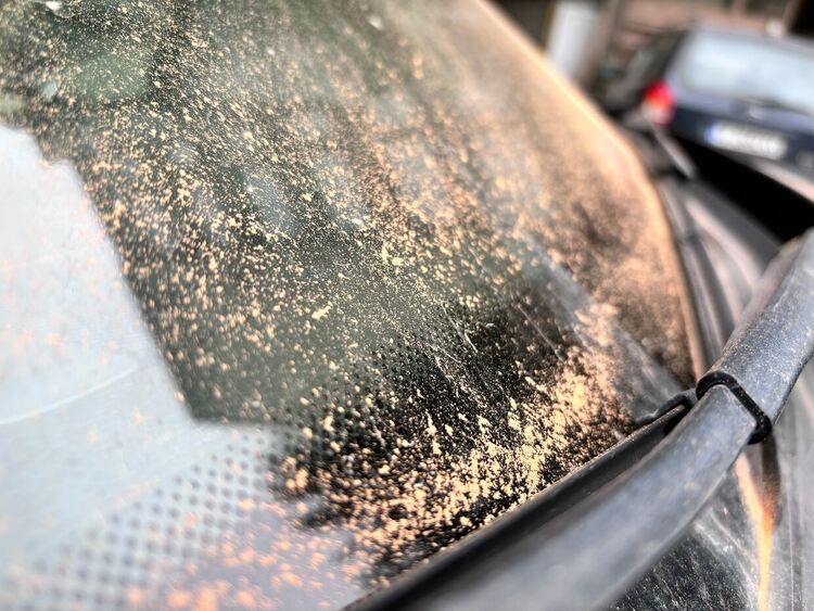 Сахарски прах покри небето над Гърция и България