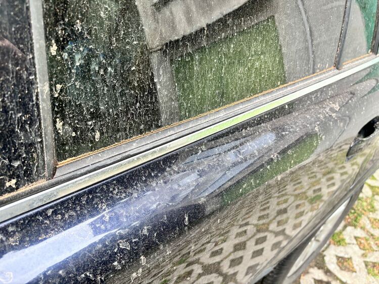 Сахарски прах покри небето над Гърция и България