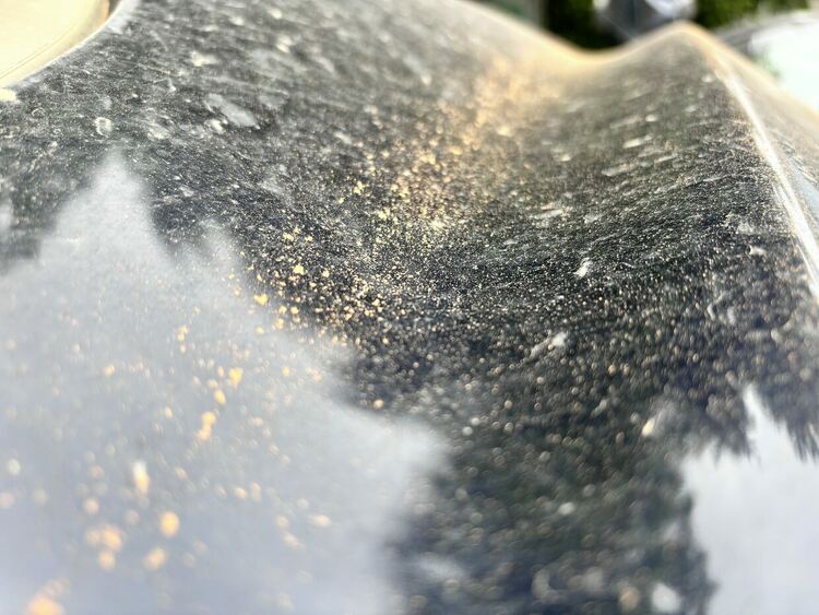 Сахарски прах покри небето над Гърция и България