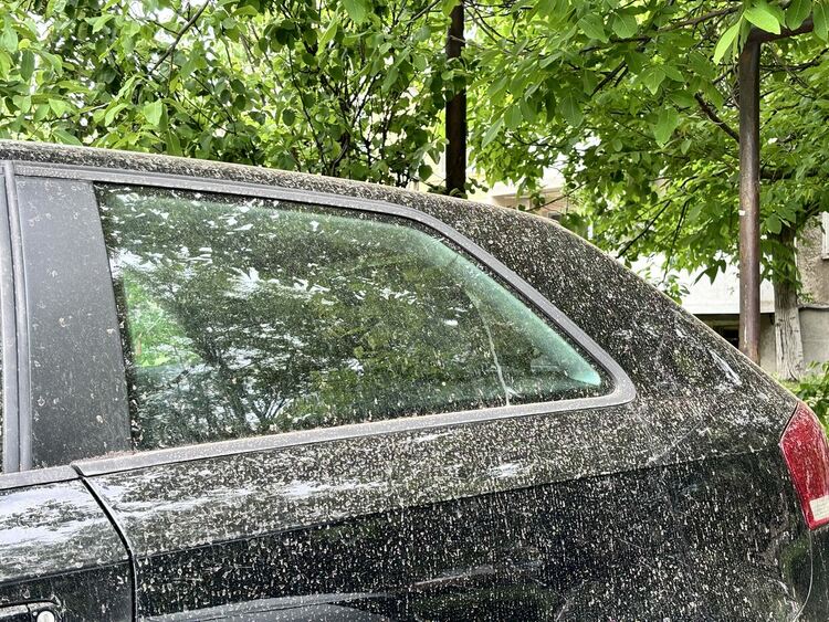 Сахарски прах покри небето над Гърция и България