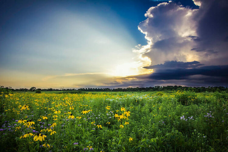 Облачно време в четвъртък, но на места с кратък дъжд и вятър