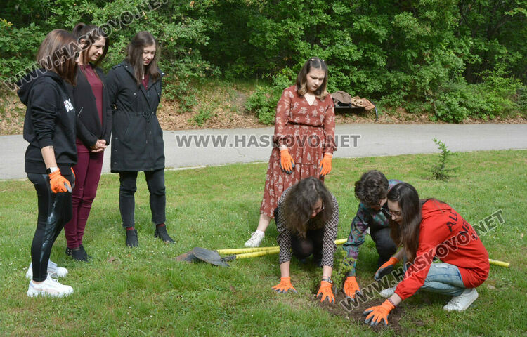 Млади творци засадиха кедър в алея „Южна пролет“ в „Кенана“