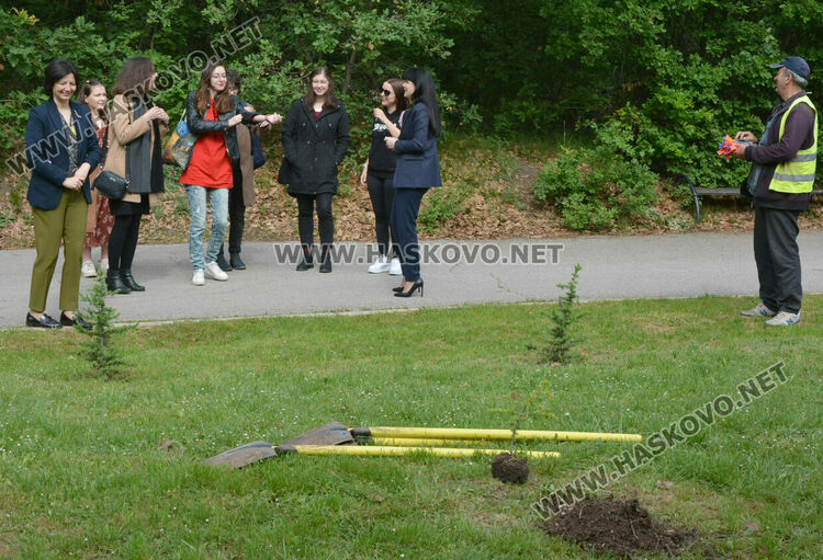 Млади творци засадиха кедър в алея „Южна пролет“ в „Кенана“