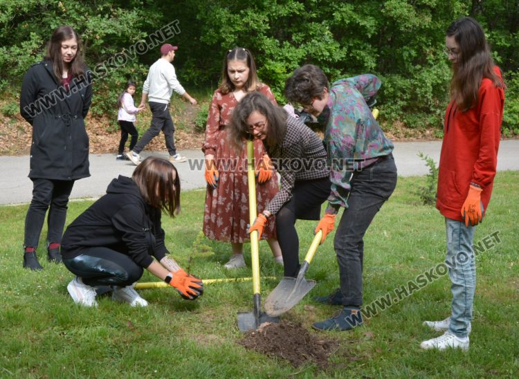 Млади творци засадиха кедър в алея „Южна пролет“ в „Кенана“