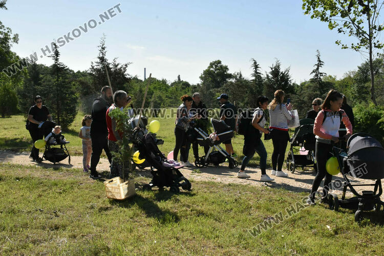 За 14-ти път в Алеята на новия живот в Димитровград засадиха кедрови фиданки