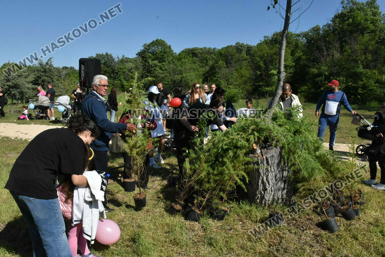За 14-ти път в Алеята на новия живот в Димитровград засадиха кедрови фиданки