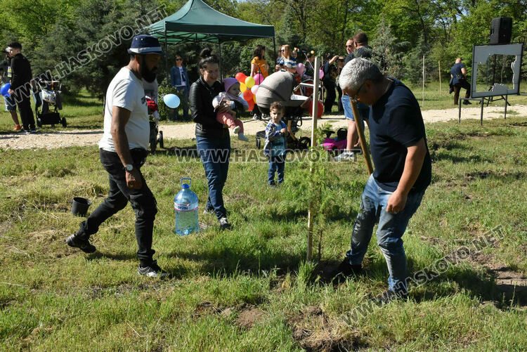 За 14-ти път в Алеята на новия живот в Димитровград засадиха кедрови фиданки