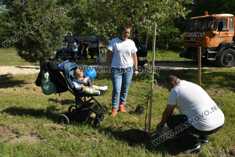За 14-ти път в Алеята на новия живот в Димитровград засадиха кедрови фиданки