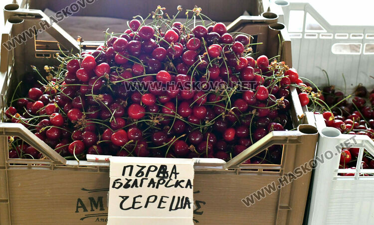 Първите череши на пазара по 30 лева за кг