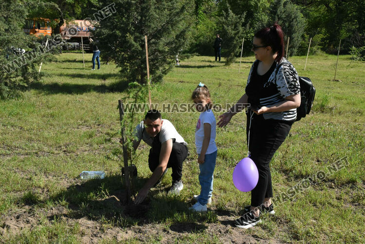 За 14-ти път в Алеята на новия живот в Димитровград засадиха кедрови фиданки