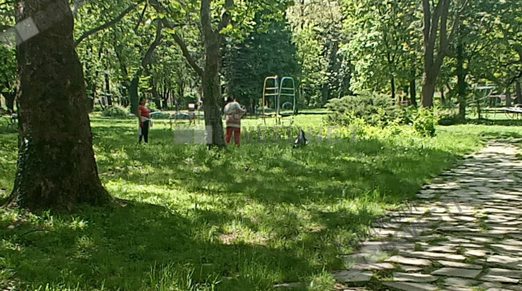  Кърджалийци искат възстановяване на Розариума,парк „Горубсо”в Кърджали  се нуждае от цялостно обновяване