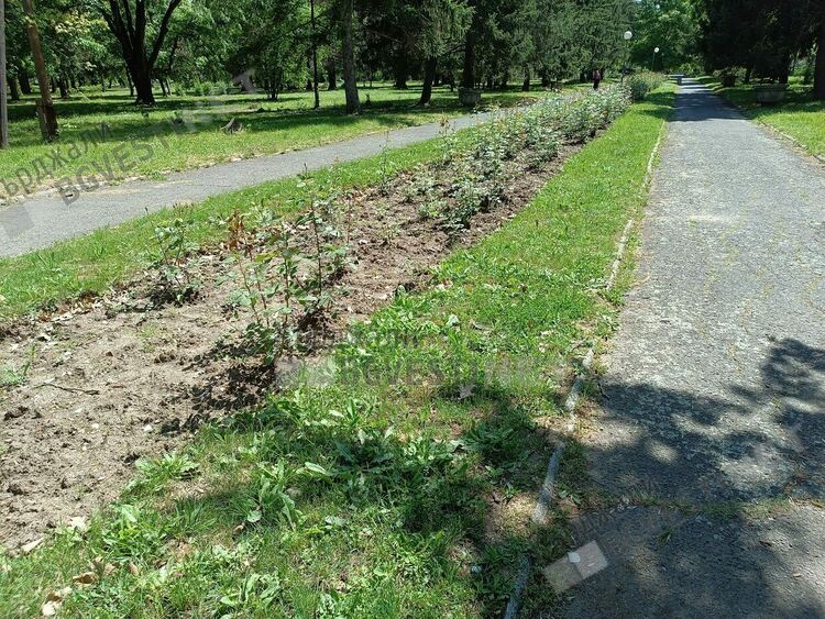  Кърджалийци искат възстановяване на Розариума,парк „Горубсо”в Кърджали  се нуждае от цялостно обновяване