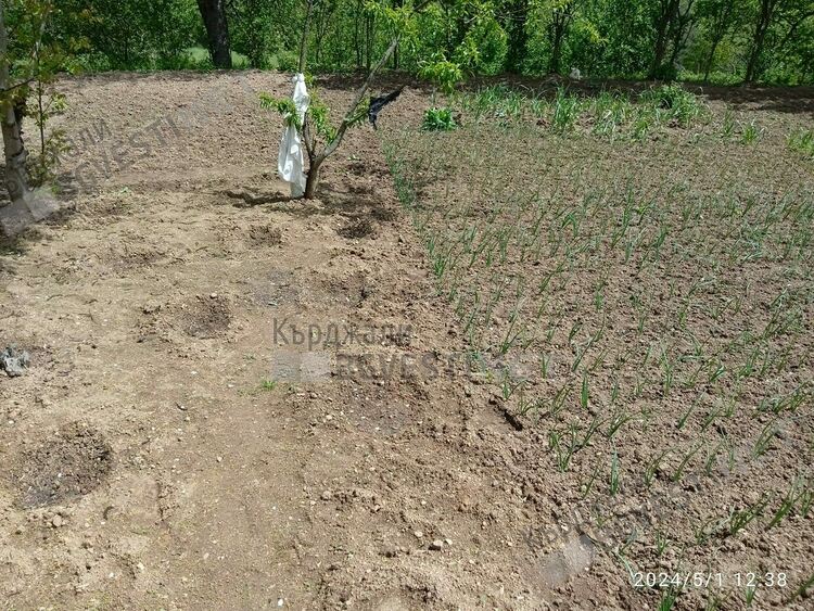 Готвят протест в Бял извор срещу хранилките за диви животни