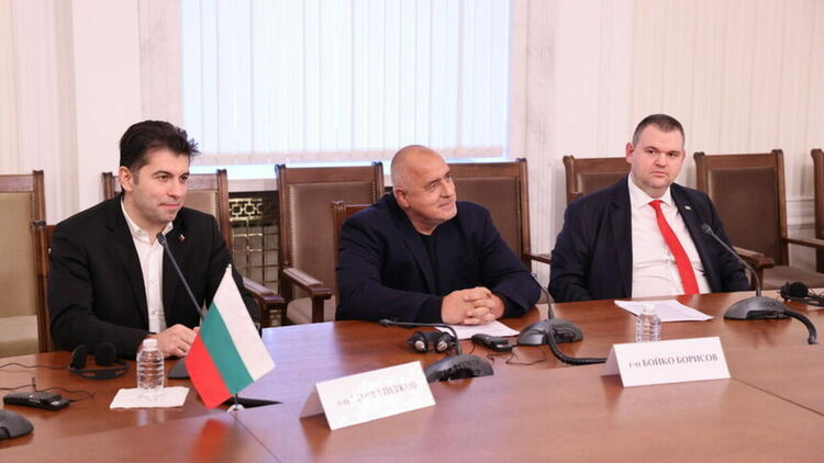 Кирил Петков, Бойко Борисов и Делян Пеевски по време на видеоконферентен разговор с украинския президент Володимир Зеленски Снимка: пресцентър Народно събрание