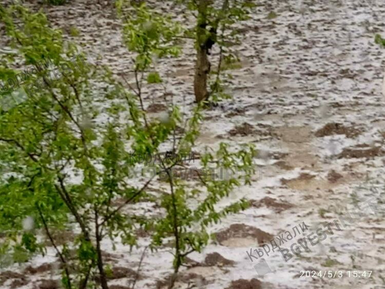 Градушка помля посеви и овошки в Бял извор,хората плачат от мъка