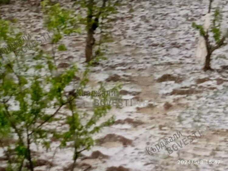 Градушка помля посеви и овошки в Бял извор,хората плачат от мъка