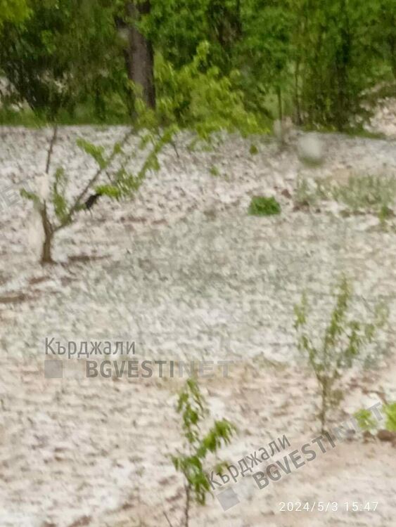 Градушка помля посеви и овошки в Бял извор,хората плачат от мъка