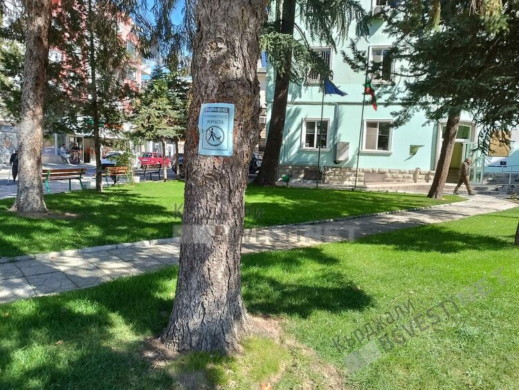 Добрият пример в Кърджали:Вържи кучето,за да е мирно селото!