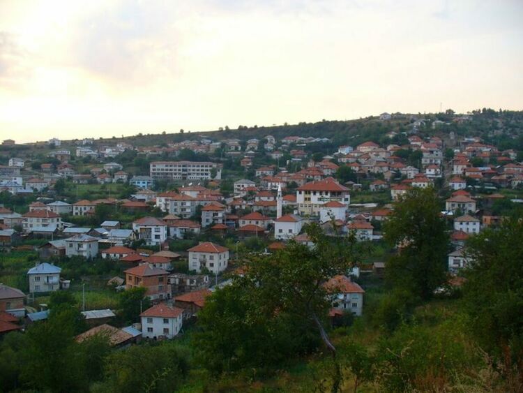 Любча се вдига на протест! С жива верига ще бранят къща, която от Община Доспат искат да съборят 