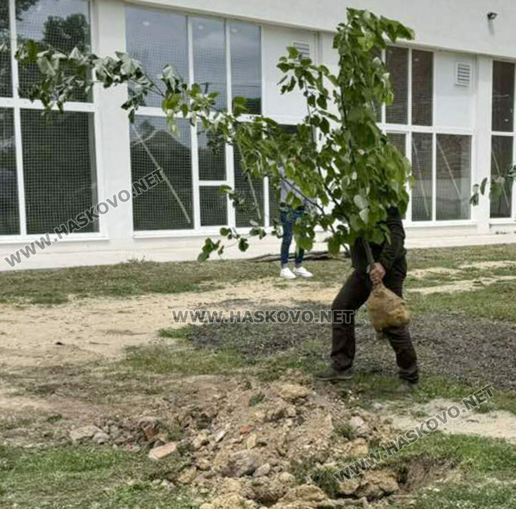Сирийски и български ученици посадиха дръвчета в бежанския лагер в Харманли