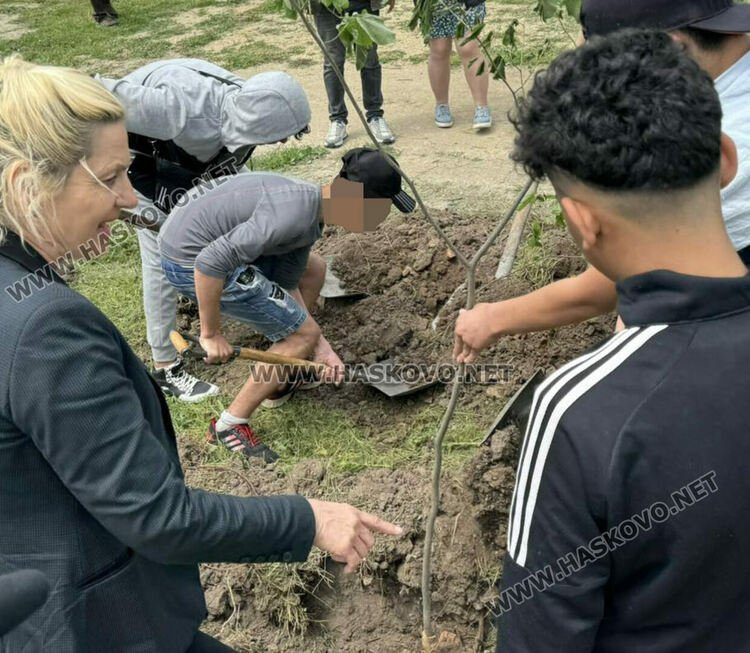 Сирийски и български ученици посадиха дръвчета в бежанския лагер в Харманли
